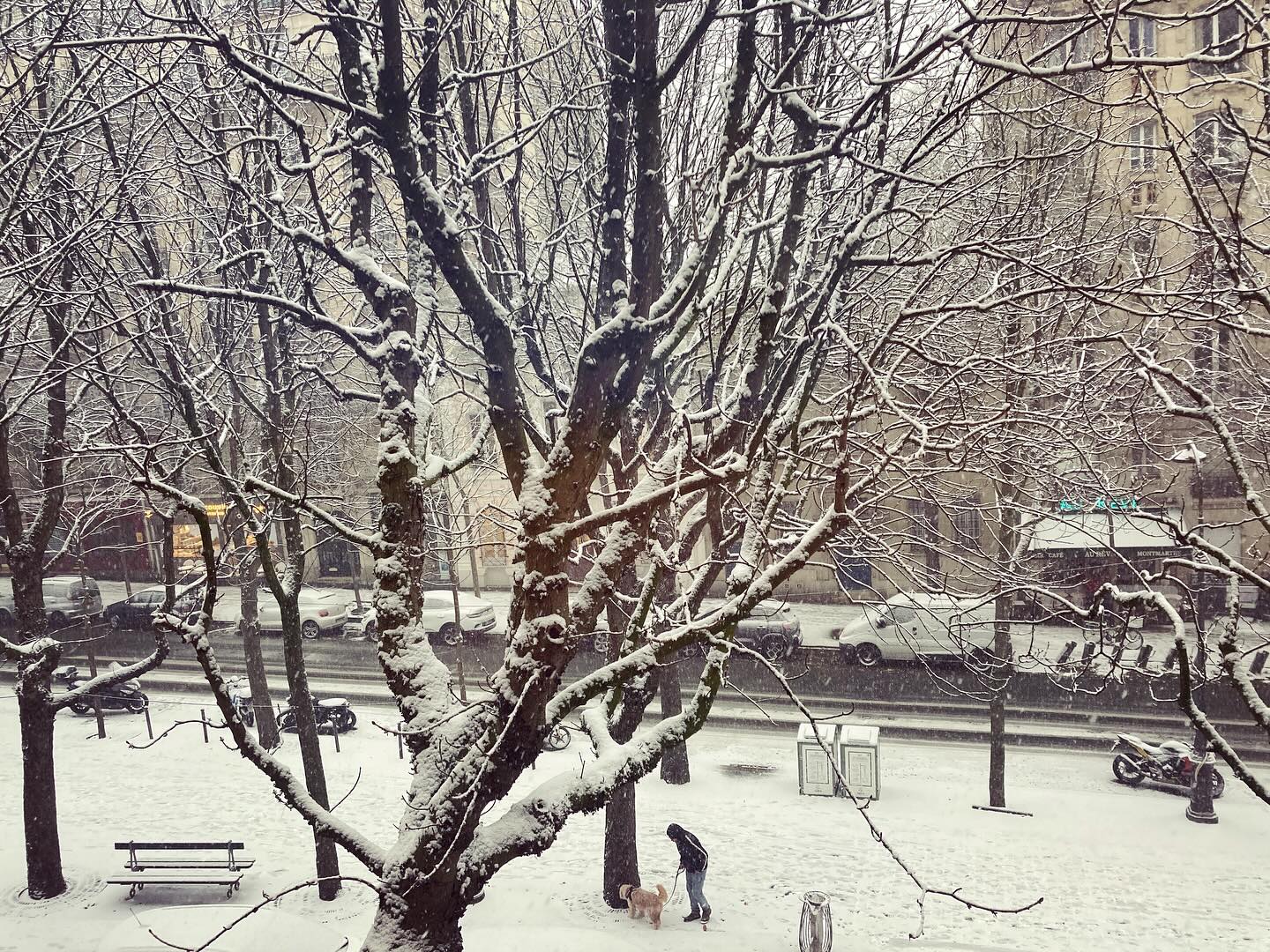 Montmartre sous la neige