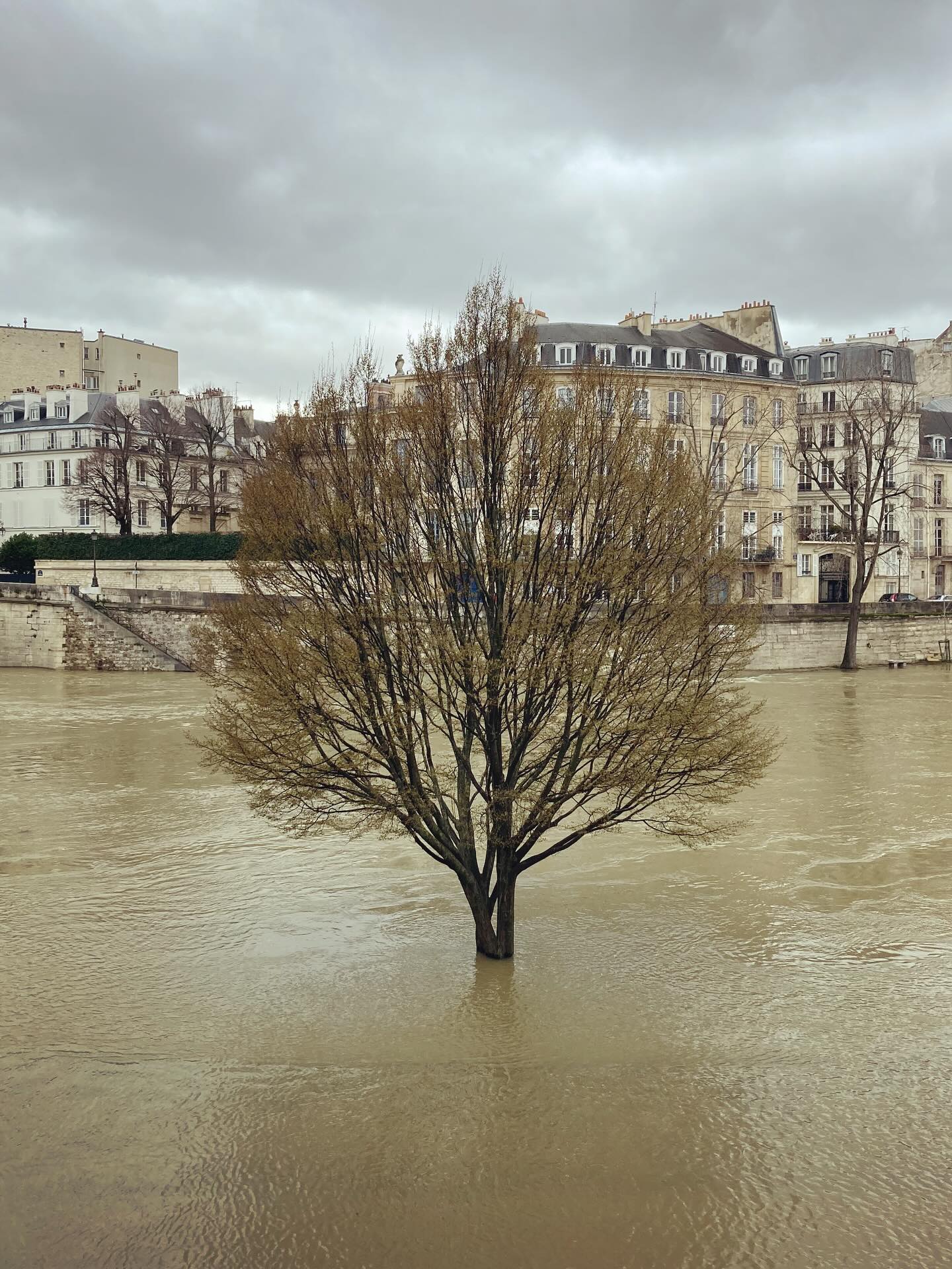 Seine en crue II