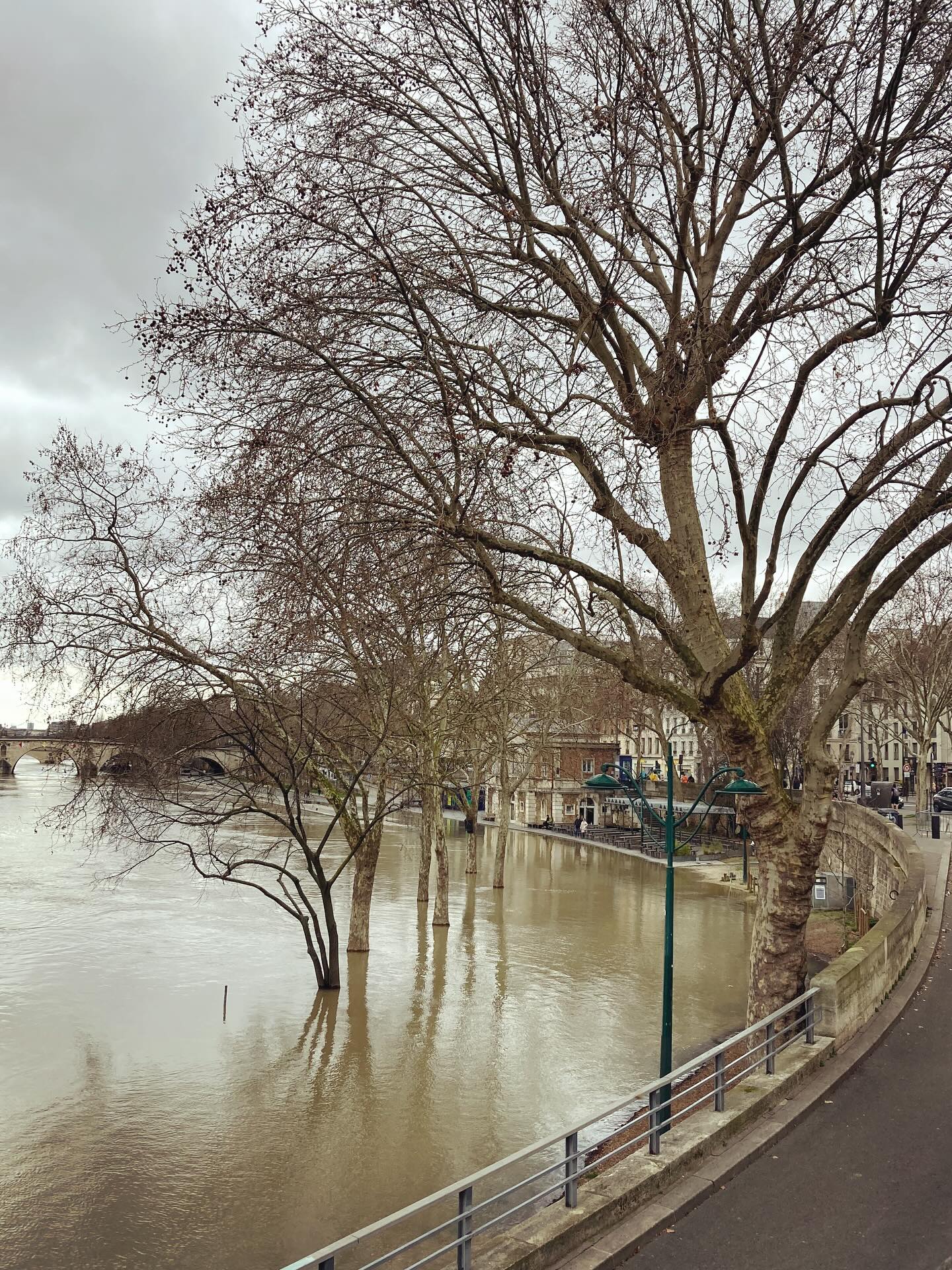 Seine en crue