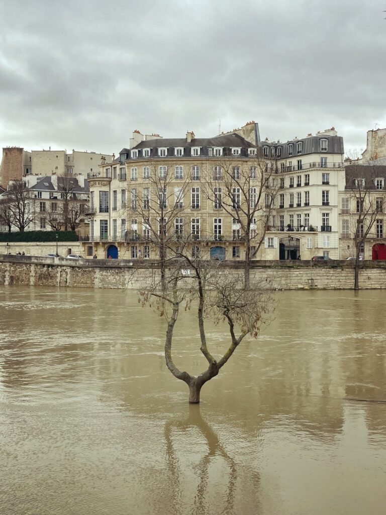 Seine en crue III