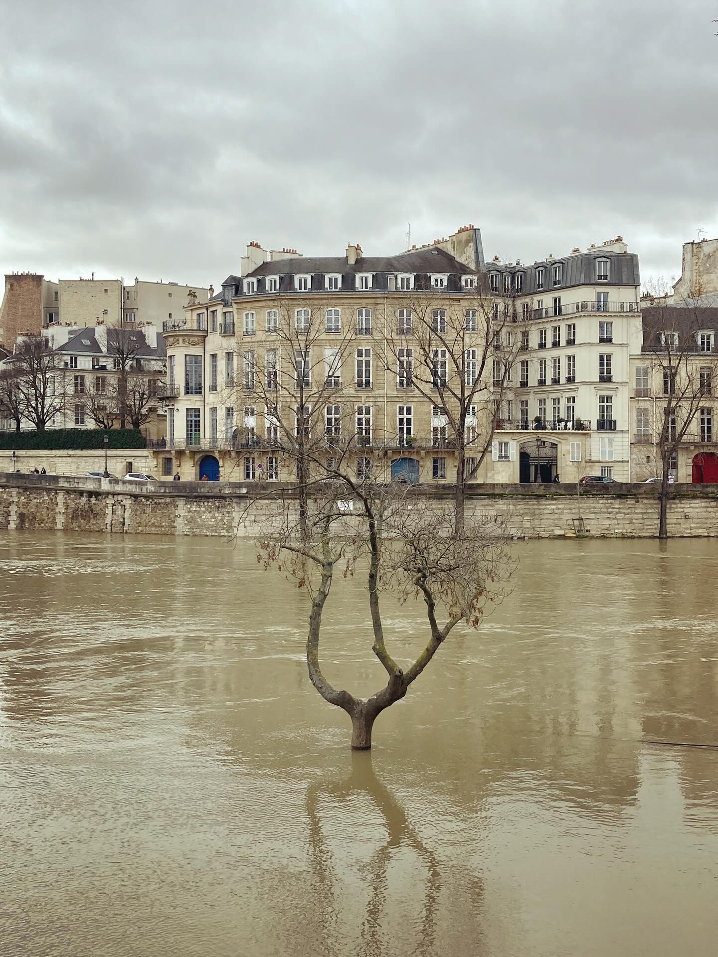 Seine en crue III