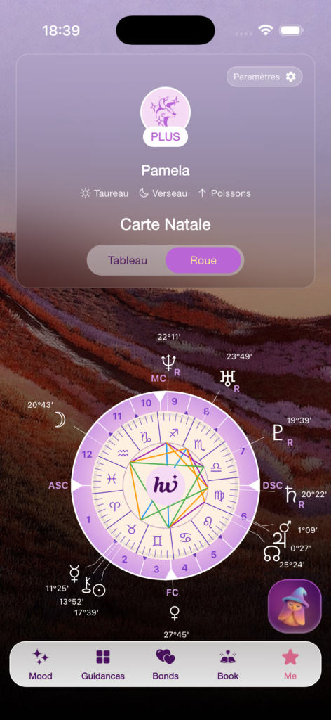 holistic Witch