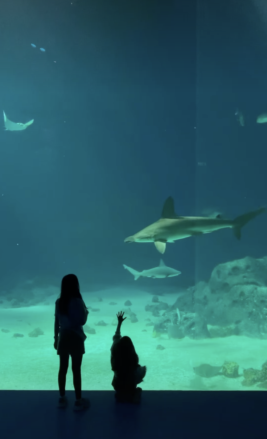 den Blå Planet, Copenhagen